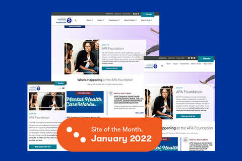 APA Foundation site 3 screen mockup