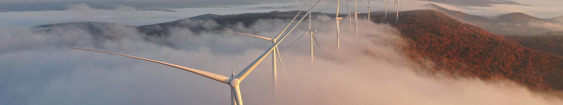 Bechtel Up Next Banner (1920X360)