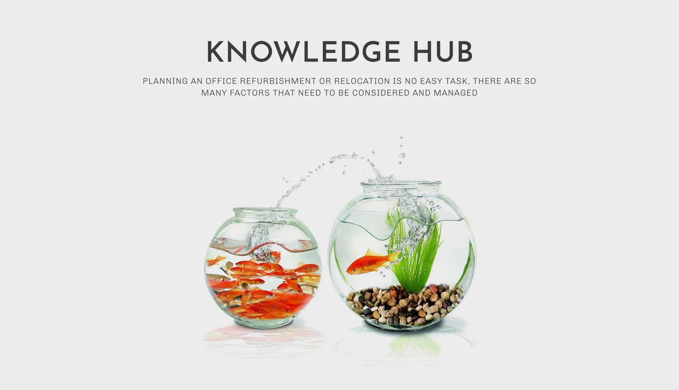 OIS - Knowledge Hub