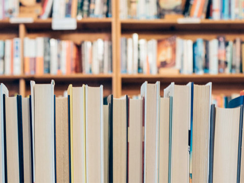 Shelves with books