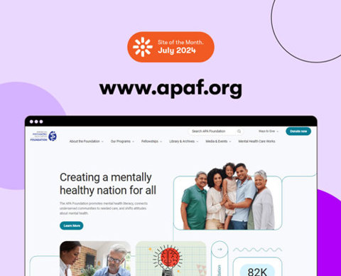 APA Foundation Site Homepage Screenshot