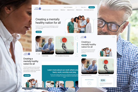 APA Foundation Site 3 Screen Mockup