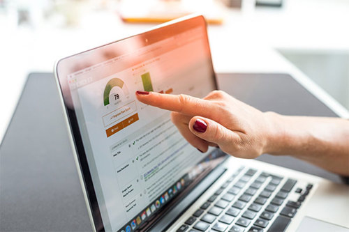 A Person Viewing Statistics On A Laptop