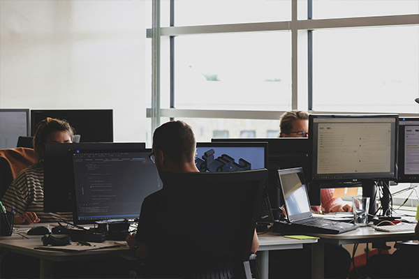 People Working On Computer Desktops