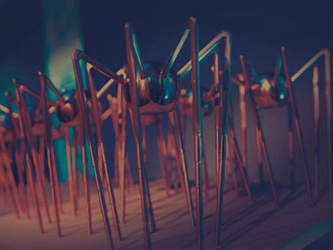 Spider award trophies